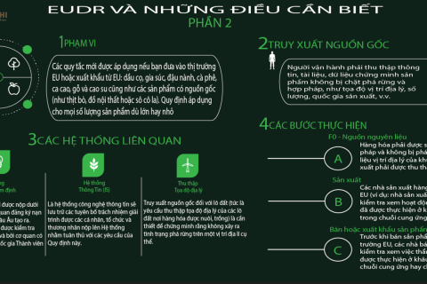 EUDR VÀ NHỮNG ĐIỀU CẦN BIẾT PHẦN 2