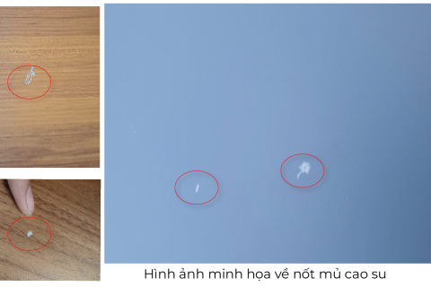 Nốt mủ cao su trên bề mặt ván MDF và những điều cần biết (Latex spot)