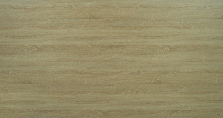 MDF – MS – HN – 389 - OAK