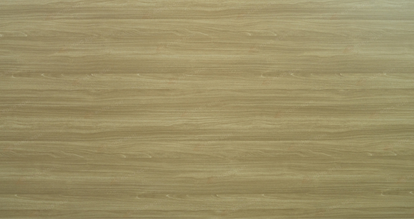 MDF – MS – HN – 404 - MAPLE