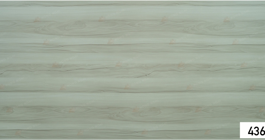 MDF – MS – HN – 436 - MAPLE
