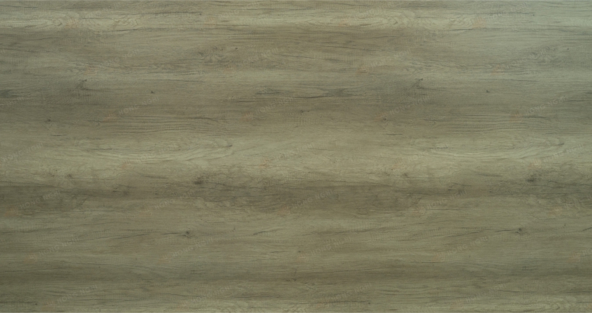 MDF – MS – HN – 443 - OAK