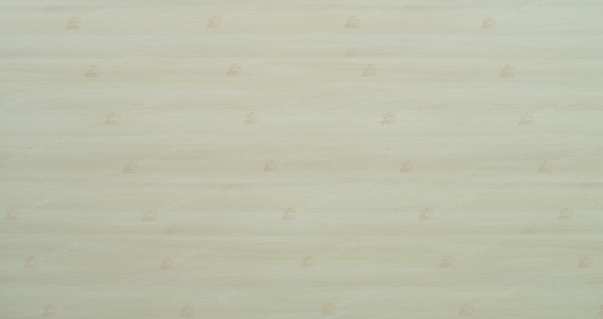 MDF – MS – HN – 501 - ACACIA