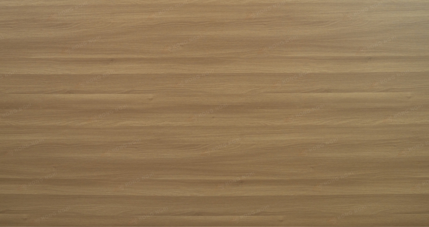 MDF – MS – HN – 503 - ACACIA